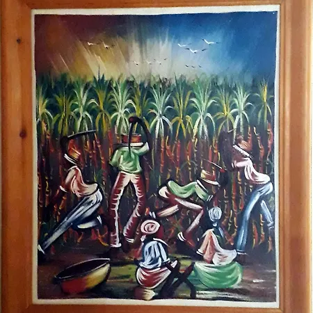 Hébergement de vacances Paydos Ayvalı